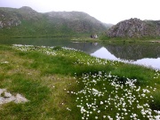 11 corona di fiori del laghetto di Ponteranica